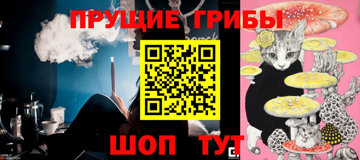 Черкесск  Псилоцибиновые грибы прущие грибы  Вход с VPN 