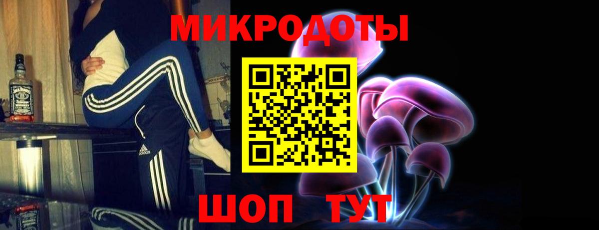 Галлюциногенные грибы Cubensis Черкесск